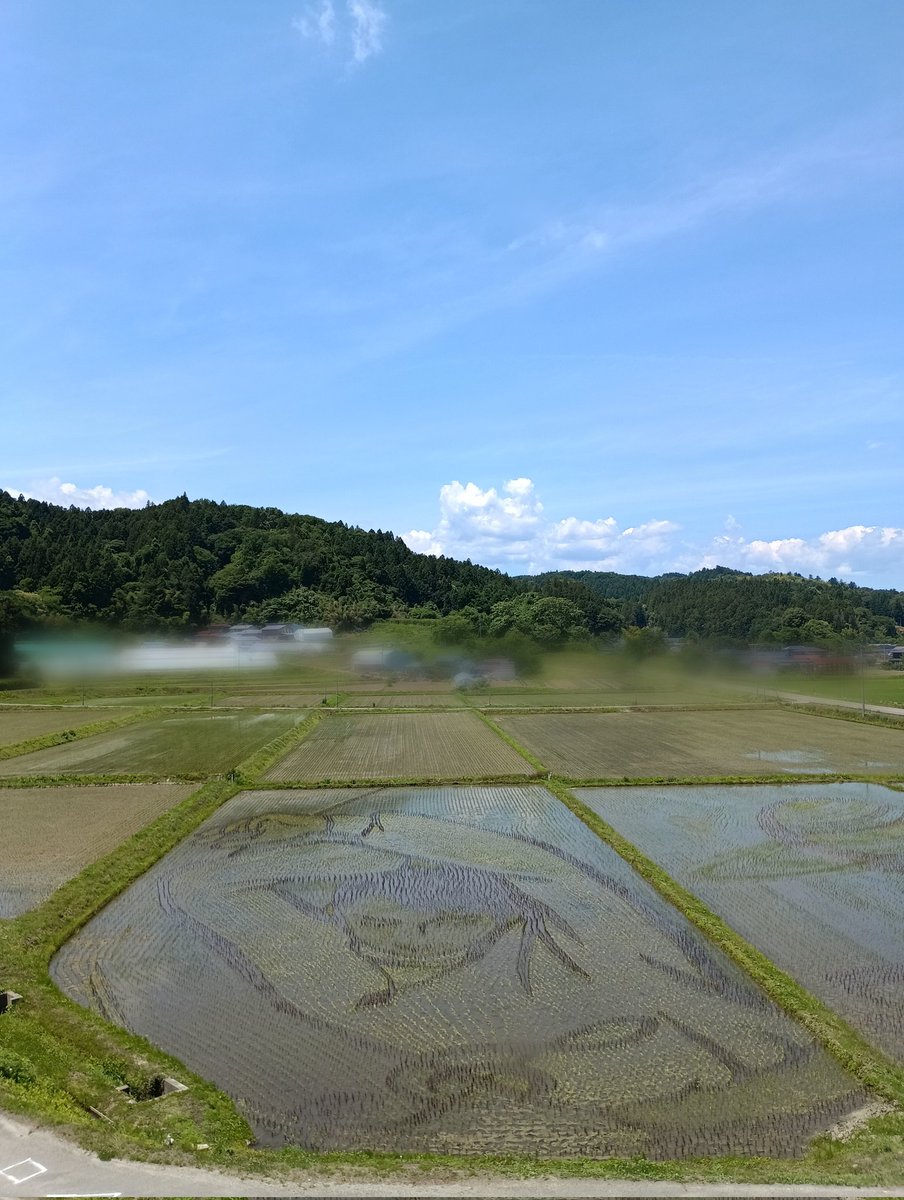 伊達 やすん tweet media