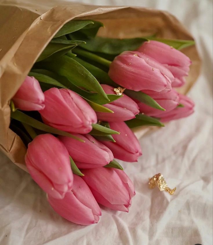 prettylanes's tweet photo. thank you for the flowers 💐 https://t.co/ny3UnZoHTv