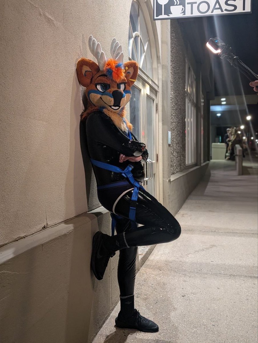 pineafterdeer's tweet photo. A little late but happy #internationaldayoflatex! 🖤💙

📸: @/pupcrow.bsky.social https://t.co/qjVlVuROjN