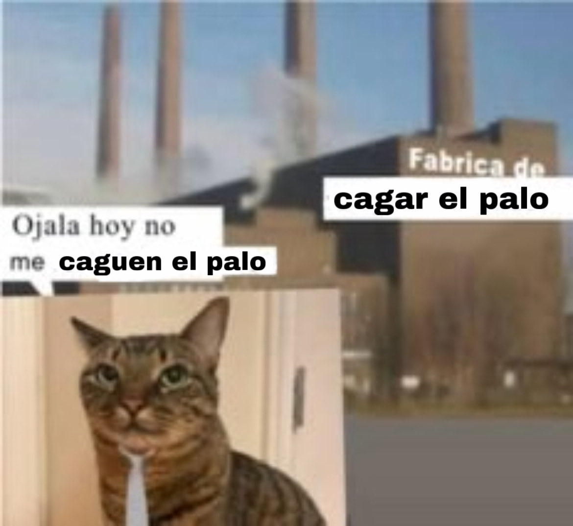 MoscoEnkabronao's tweet photo. https://t.co/OOF5gc9icb
