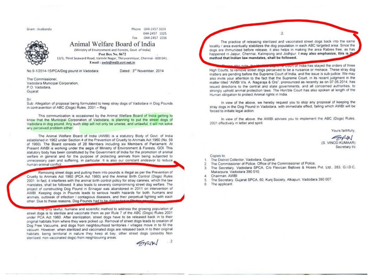 BridgingRainbow's tweet photo. 📢 Let’s hear the truth regarding impounding from the Animal Welfare Board of India itself. As whistleblowers, we risked our lives to prevent a disaster from happening
#science #sentience #sustainability #onehealth #truth  #awbi https://t.co/bVYdPnbe4m