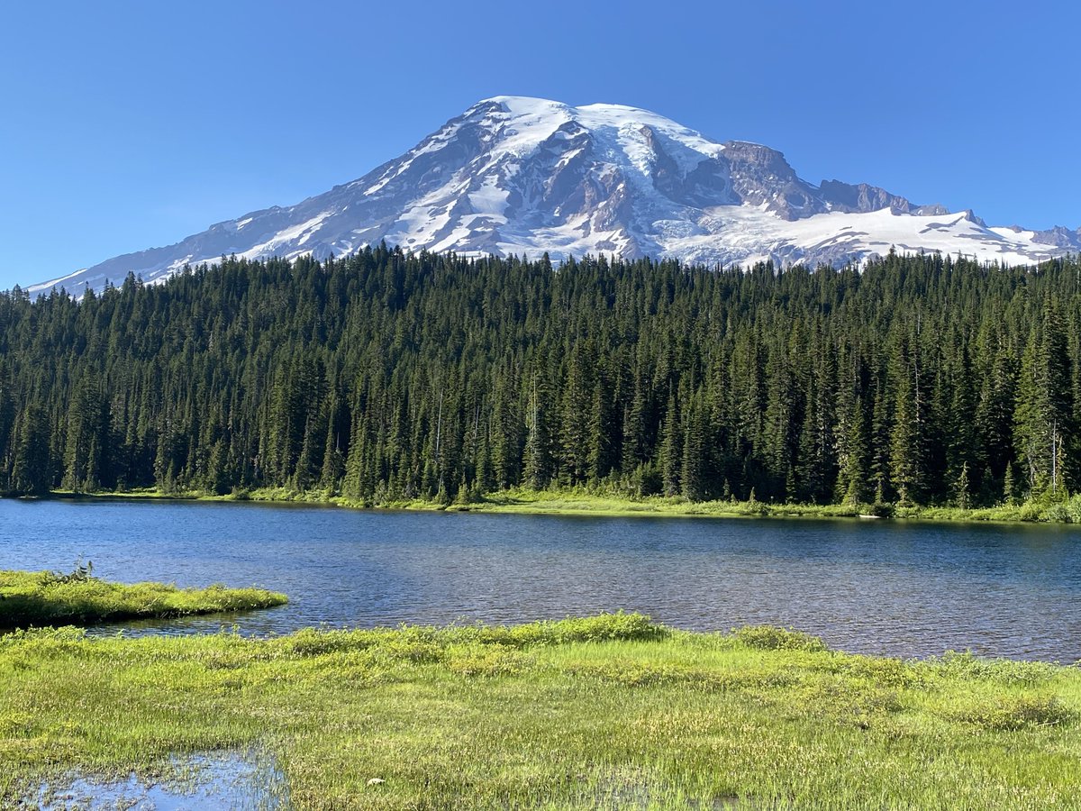 RamonPV's tweet photo. @laythy29 Some extra pics of Mt Rainier. https://t.co/TnPaF3X5td
