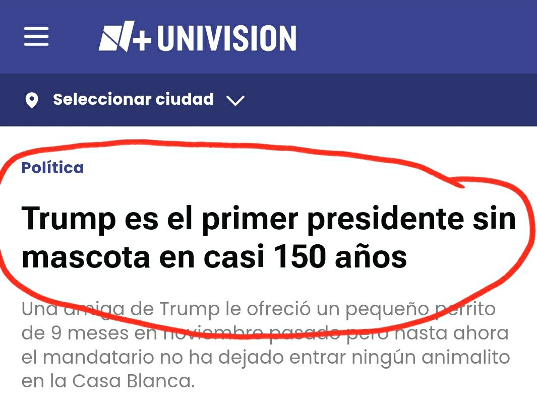 elzarco422's tweet photo. @DavidPramo2 Trump no tiene mascotas...solo lamesuelas aplaudidores. https://t.co/70eAaaJ0Oq