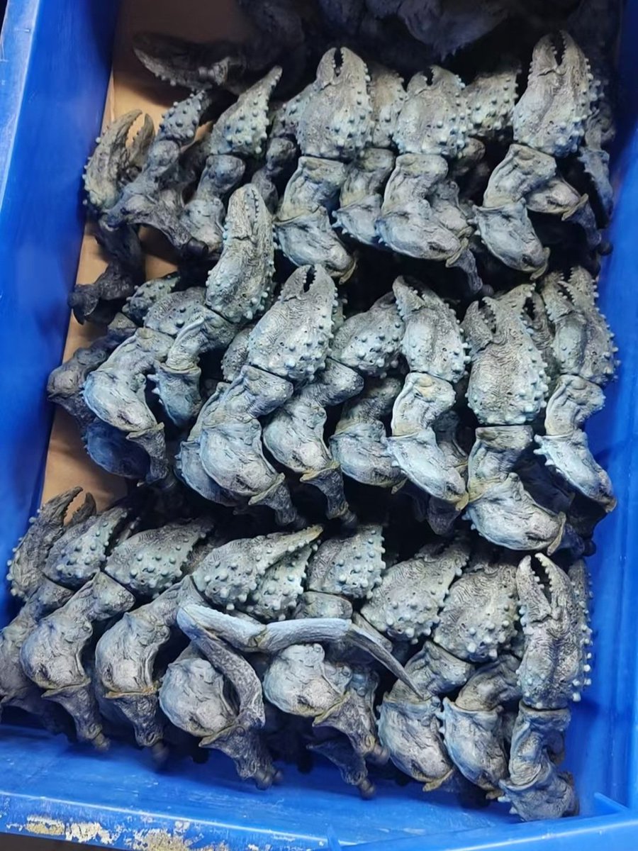 1000Tentacles's tweet photo. [Birgus!!]📢📢
In Full production⚡️⚡️

◾️1000Tentacles Webstore
https://t.co/RaQazmq785
◾️1000Tentacles YouTube Channel
https://t.co/rdx9IWpvpH https://t.co/QEZ1yTNP0Q