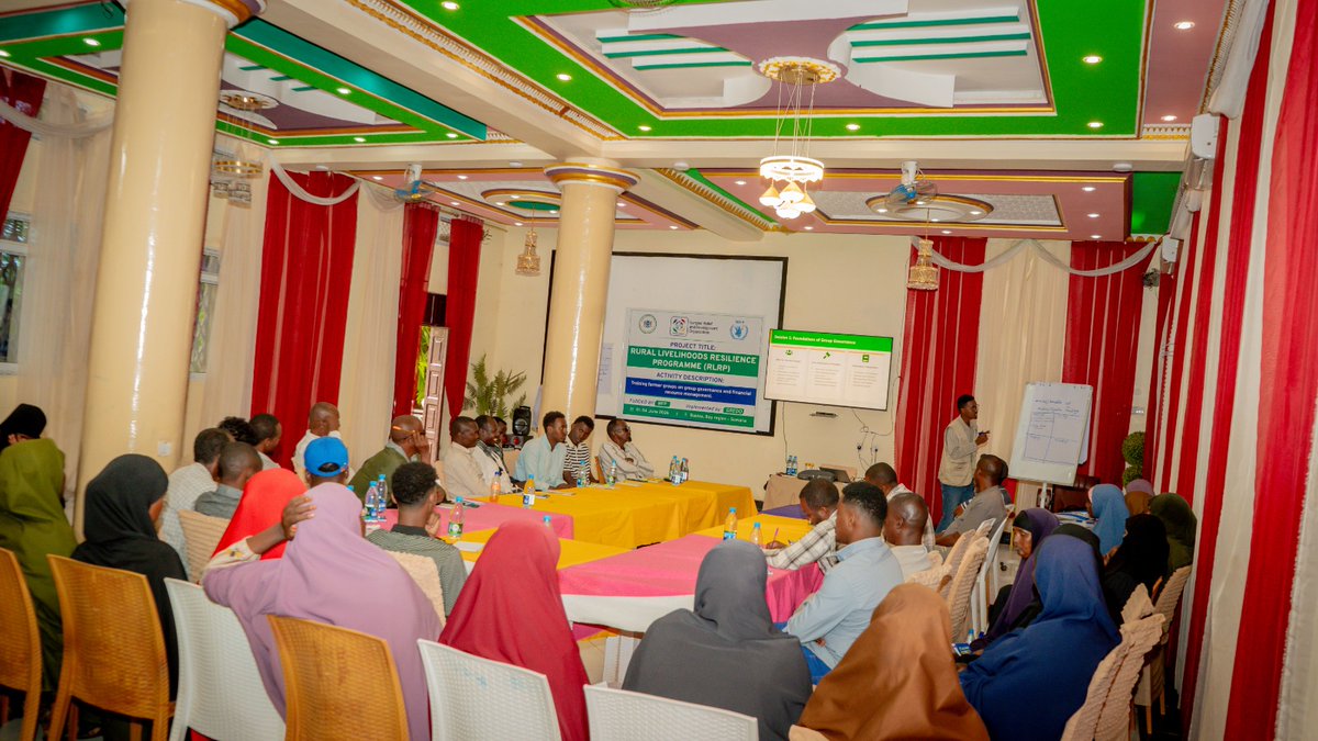 gredosom's tweet photo. 🌱 Strengthening Farmer Cooperatives for Sustainable Agricultural Development

GREDO, in partnership with the @MOASomalia with support from the @WFPSomalia through the RLRP Programme, provided training on Governance, Leadership, and Financial Resource Management to 180 representatives of small-scale farmer cooperatives from Afgoye and Baidoa.

The training strengthened participants’ capacities in leadership, accountability, governance, organizational management, and financial stewardship, equipping farmer groups with the skills needed to enhance cooperative performance, promote collective action, and build more resilient and sustainable livelihoods.

#Agriculture #FarmerCooperatives #FoodSecurity #Resilience #SustainableLivelihoods #GREDO