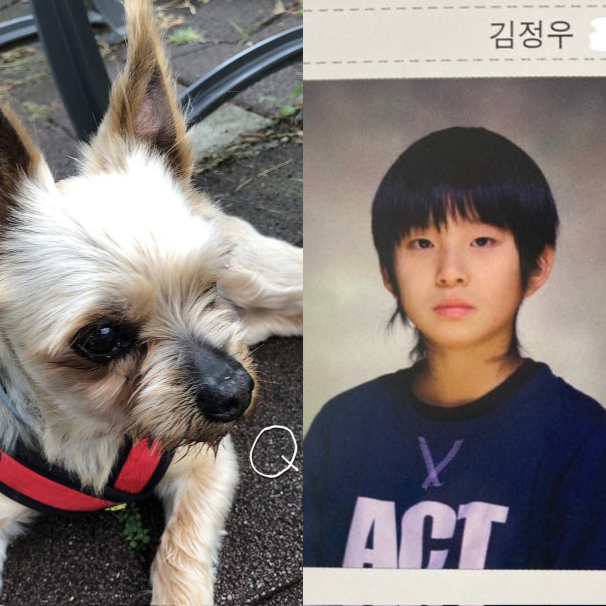 kju_0219's tweet photo. 너무 너무 귀여운 커미션을 받았어요♡
오복이랑 초딩woo..>_< https://t.co/y7zBybDh3D