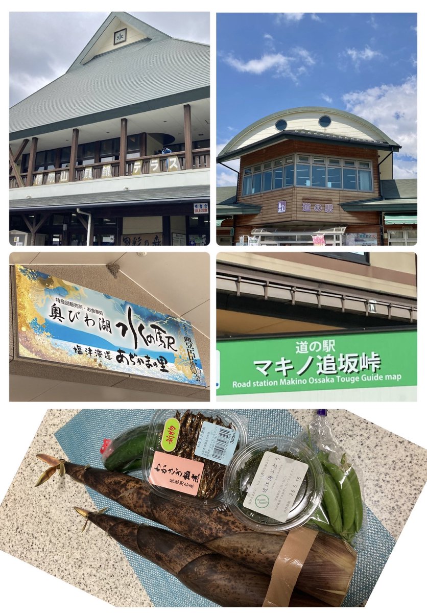 jh201223's tweet photo. 琵琶湖の北走る〜🚗目指すは久々のメタセコイア並木道にopenしたカフェ☕️眺めながらのひと時にホッ🌲😌そしてランチは琵琶湖にしか生息しないとの鱒で貴重美味し😋道々入った道の駅＆水の駅👏滋賀にも海ぶどう⁉︎👍 https://t.co/34wUiDOm2T