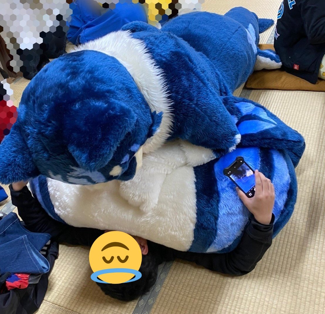 ralzack's tweet photo. 🐬「どうなっちゃってもしらないよ！？」
#のしかかられたい人いいね https://t.co/1JGciYyCyL