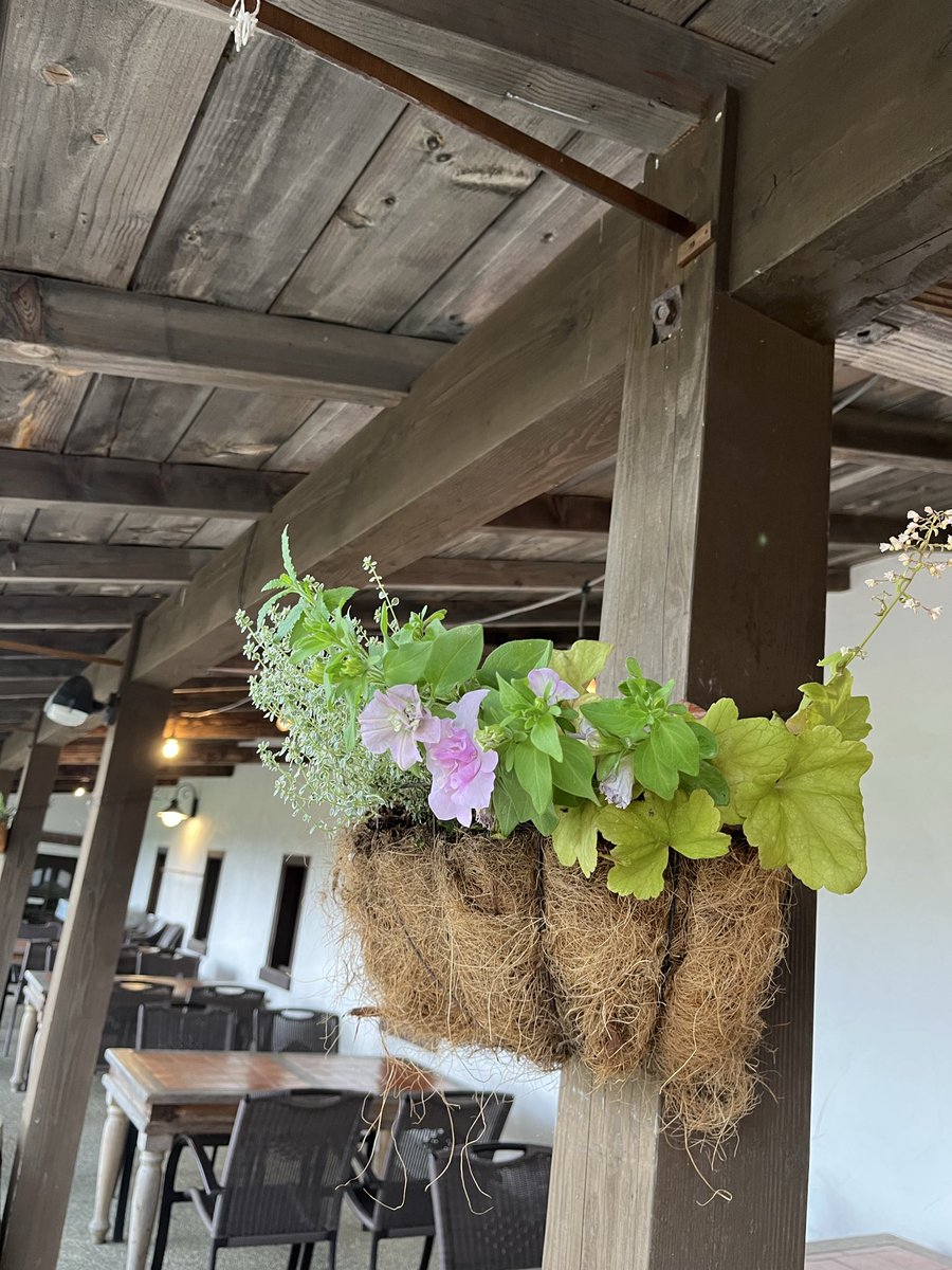 grandy77358522's tweet photo. 17年来の気の合うママ友と🫶

テラスでのんびり素敵なランチタイム

🌿自然に包まれながら氣持ちの良いひととき

昨年10月振りに訪問
ショップやデリカテッセンもリニューアルされて、室内でも飲食できるように✨
ソファー席もありくつろげそう☺️
フードメニューの種類も増えていい感じ👍 https://t.co/KjTcaL1Jae
