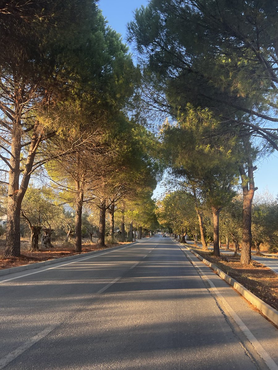 seminabest's tweet photo. Her yol kolay değil. Ama yolun sonu aydınlıksa, yürümeye değer 🌸 #günaydın 
#güre https://t.co/xe5UHrWYlx