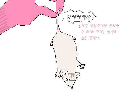 착 한 눈 칼 tweet media