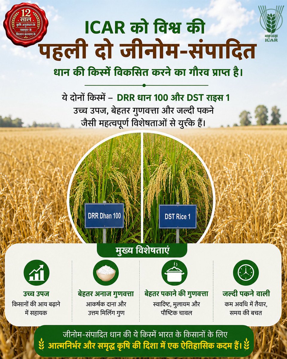 icarindia's tweet photo. आईसीएआर ने विश्व की पहली जीनोम-संपादित धान किस्में DRR धान 100 और DST राइस 1 विकसित कीं। अधिक उपज, बेहतर गुणवत्ता और शीघ्र परिपक्वता से किसानों व कृषि को नई दिशा।#icAR #12YearsOfAchievements @ChouhanShivraj @PIB_India @AgriGoI https://t.co/oaiZAL6sPf