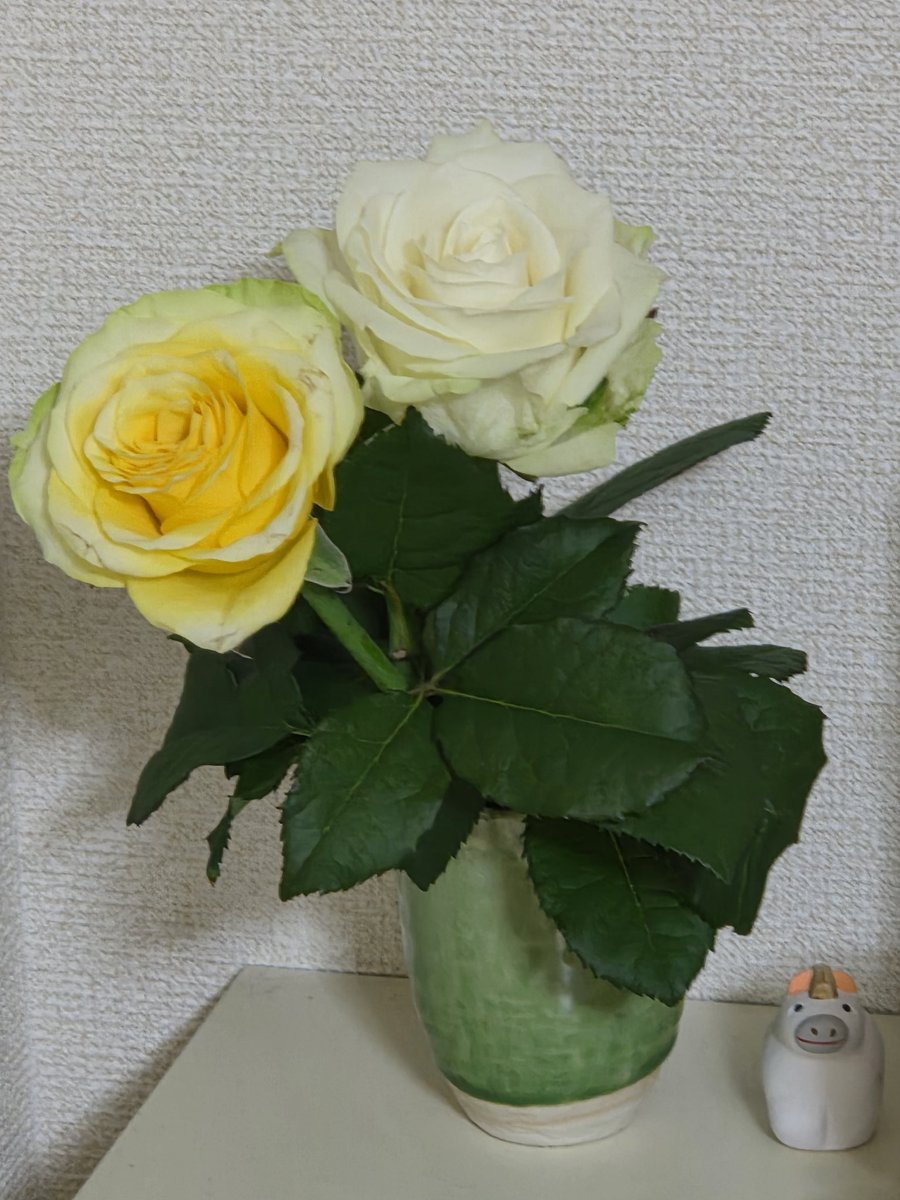 PopoRemin's tweet photo. 離れて暮らす家族の記念日があると、花を愛でるのが癖であり(お花の心得は皆無なり💦）
それにしても、白いバラの名前の方がアバランチェって🧢曲のタイトルニアピン賞かも😊 https://t.co/PBJYcMySzr