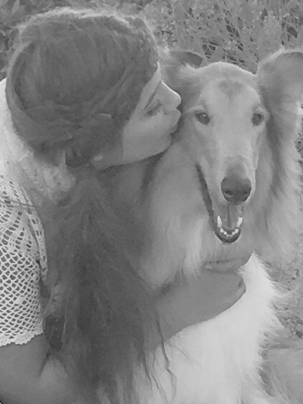 NewportVet's tweet photo. We lost our beloved Collie named Zeke. We adopted him after he was found on the streets of LA in 2013. He was emaciated and so dirty we couldn’t tell he was a gorgeous Collie. We so loved him as did our staff and our clients. He was mischievous and incredibly funny. 💔 https://t.co/IopvUPejdZ