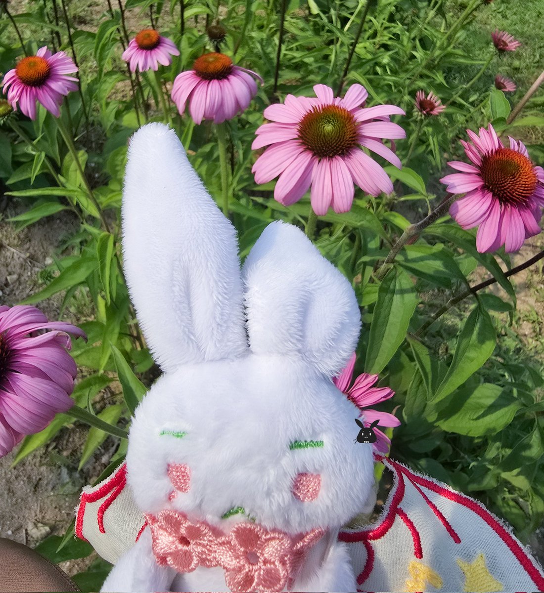 hihippo38's tweet photo. 꽃🌸이 넘모 예뿌쟈나 https://t.co/xowlEux7Um
