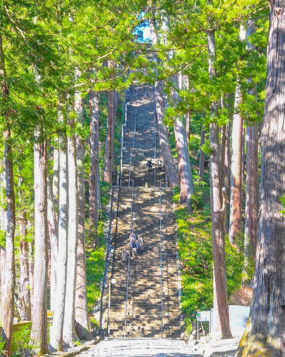 tabiyamaphoto's tweet photo. 287段の石段を登った先に待つ絶景と達成感。
身延山久遠寺は想像以上だった。 https://t.co/RfwhCzOGwH