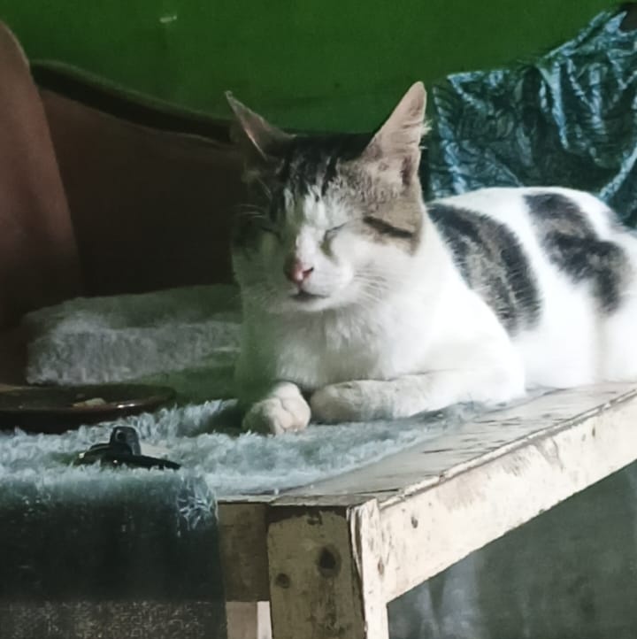 leqbi's tweet photo. @kaIangit penampakan dia sekarang, gini gini juga dah jadi bapak yang bertanggung jawab wkwkwkwkwk https://t.co/lZ47icF6jz