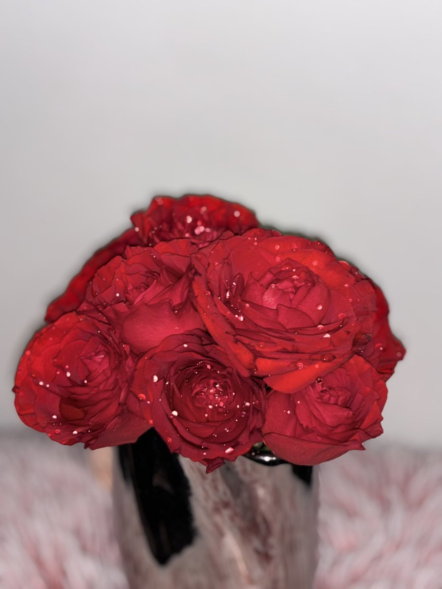 dokiokitrix's tweet photo. my period started and bf came over and gave me flowers and cooked for me gRAAAAAA IM SO LUCKY i ofc did a flower photoshoot on the floor  :p https://t.co/L6hFCSvqnn