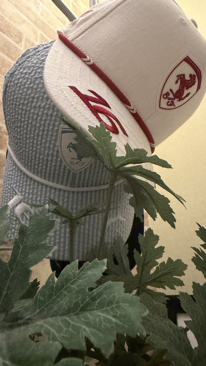 ___SOLESOLE___'s tweet photo. 25-26 🇲🇨🏎️ ferrari🎠
 #F1 #charlesleclerc #monaco https://t.co/wgFJKoTNQf