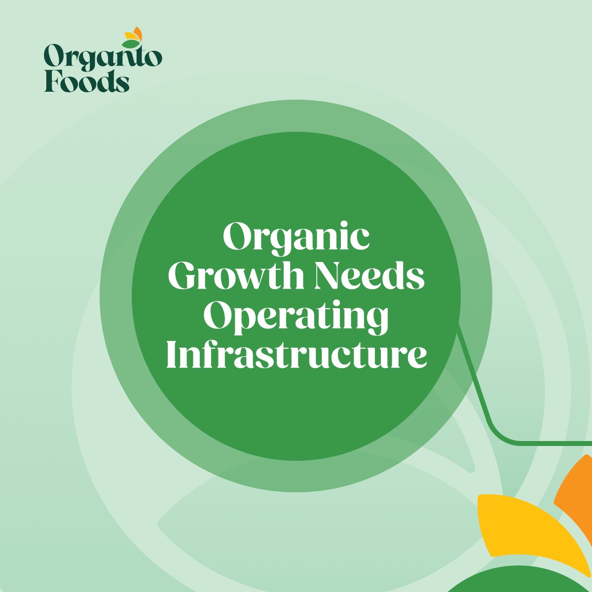 OrgantoFoods's tweet photo. Organic demand is growing - but supply is where the real work begins.

As retailers expand organic offerings, the challenge becomes more operational: quality, certification, traceability, logistics, and year-round availability all have to scale with demand. 

That’s where platform strength matters. Organto is focused on the operating layer behind organic access, connecting trusted sourcing, logistics coordination, product integrity, and retail delivery. 📦🌱

View more: https://t.co/tVcSpufQ7Q

🇨🇦 TSXV: OGO | 🇺🇸 OTCQX: OGOFF | 🇩🇪 FSE: OFG0
#OrgantoFoods #OrganicGrowth #MarketTrends #FreshProduce #SupplyChain