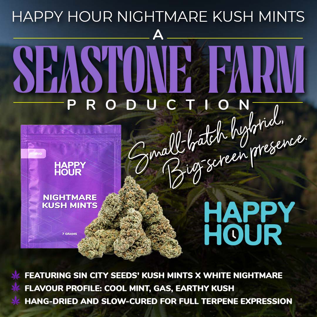 _herbaldispatch's tweet photo. Happy Hour's Nightmare Kush Mints is now on both HD medical and the BCLDB. Same craft flower, two ways to get it. https://t.co/yXv8fQ8lV3