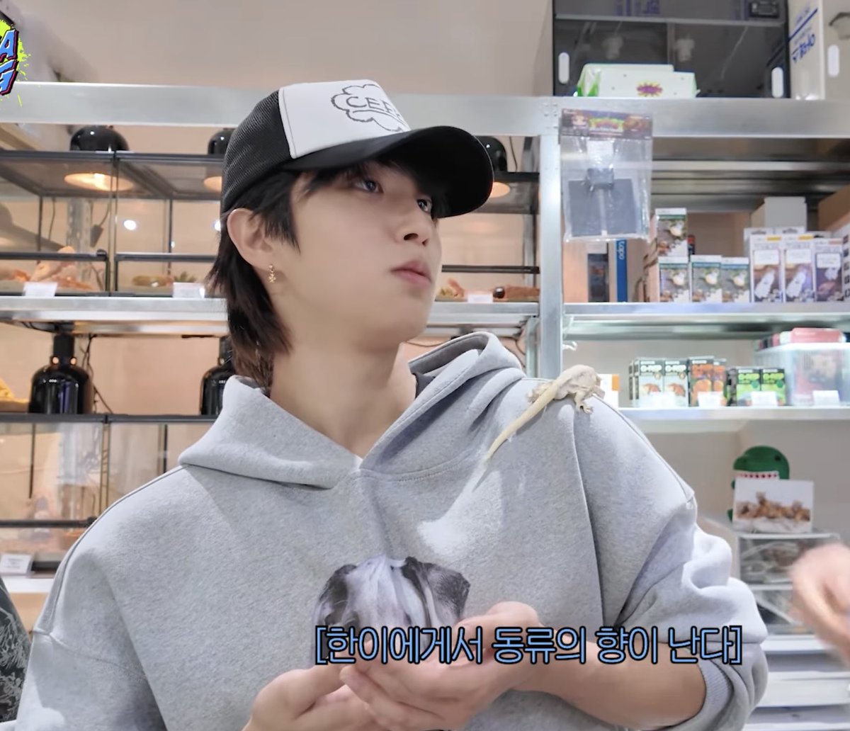 konsorusparty's tweet photo. hyunsung getting attached to anju 🥹💕🦎 https://t.co/w6ojbr2wdJ
