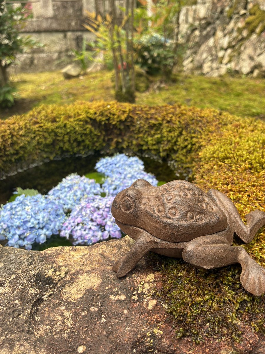 kougen_ji's tweet photo. ✳︎
お檀家様から繋いでいただいた嬉しいご縁（なんと住職の遠い親戚でした！）で、高原寺にお迎えした品々。
境内のあちこちに、大切に飾りたいと思っております。
お立ち寄りの際は、ぜひ探してみてくださいね✨

#お地蔵さん
#川西市
#高原寺 https://t.co/PPy0js3pGq