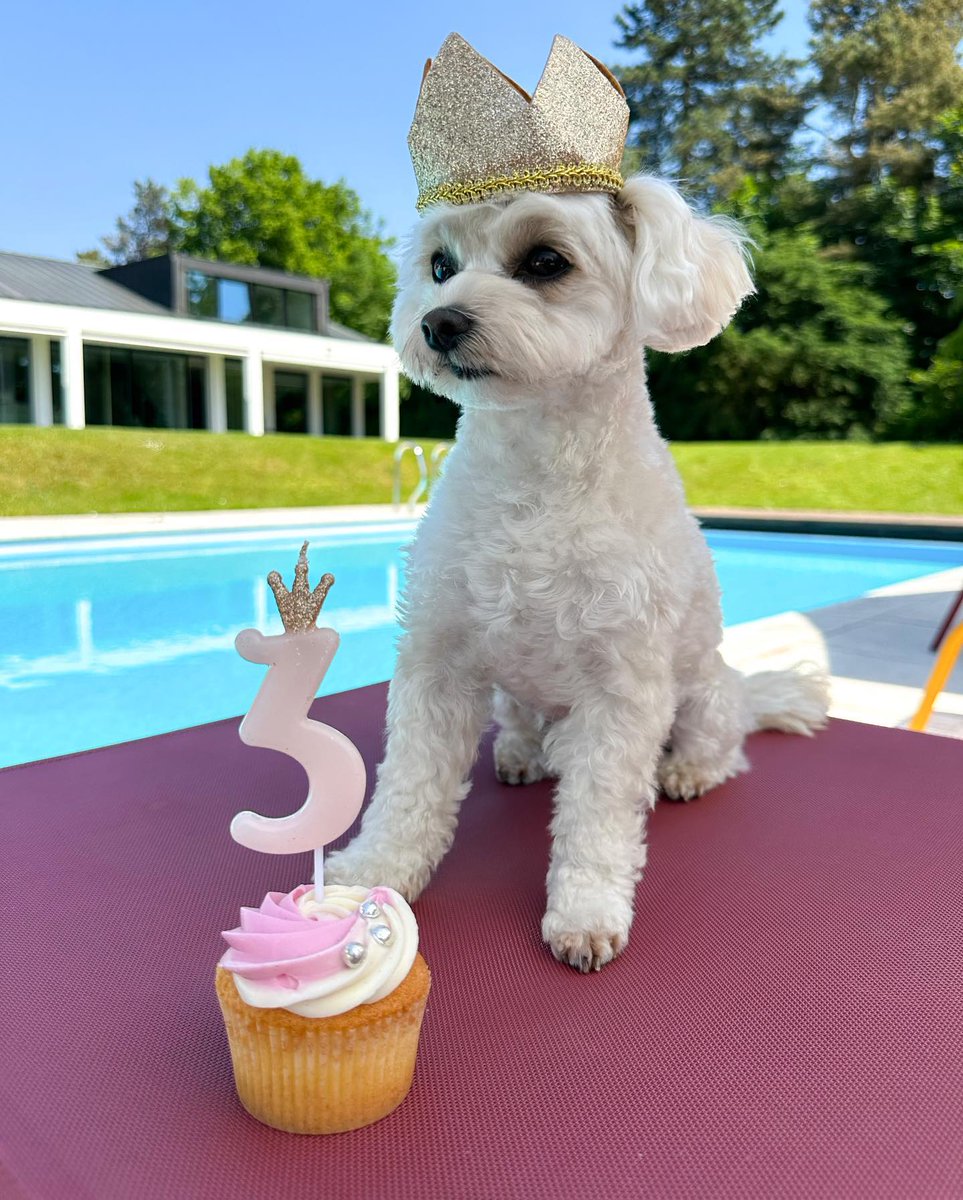 Natalyoliv2012's tweet photo. Today's main attraction isn't just the cake, but also a little birthday star wearing a crown 👑 https://t.co/aULHIFJoor