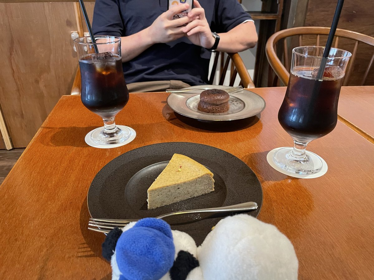 gulifff_n's tweet photo. カメラを向けると目線をくれるうちのプロ達。 https://t.co/GbD7VoNZ71
