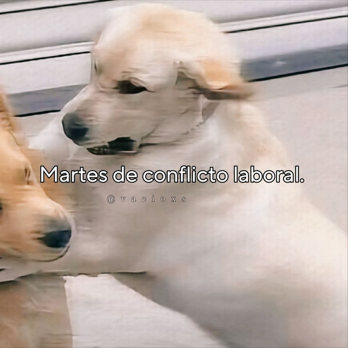 ladelsotano_'s tweet photo. Mi meme favorito https://t.co/bfch6SqpWl