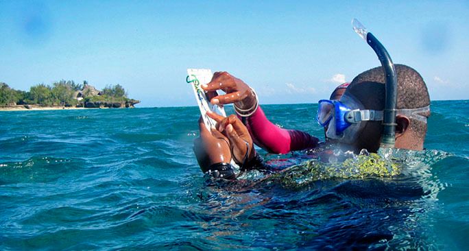 Earth_Changers_'s tweet photo. #TravelTuesday   
 
🌊🪸 Enjoying this #pristine, #marine #protectedarea &amp; #environment isn't just you! #Species thrive here meaning more natural beauty, healthier #reefs, &amp; a truly #wild #island #experience. 

More info &amp; enquire:
https://t.co/m82apoh30x

#WorldSeaTurtleDay https://t.co/3cuE2rC553