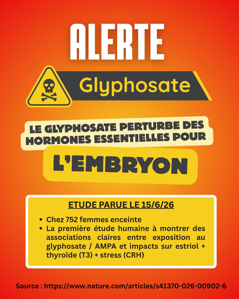 EnfantsSansPest's tweet photo. #pesticides #agriculture #grossesse

🚨Première preuve scientifique humaine : le #glyphosate perturbe les hormones essentielles au développement de l’enfant à naître

Une étude majeure publiée hier (15 juin 2026) dans le Journal of Exposure Science & Environmental Epidemiology révèle que l’exposition au glyphosate (herbicide le plus utilisé au monde) et à son métabolite AMPA est associée à des perturbations hormonales importantes pendant la grossesse.

Chez 752 femmes enceintes suivies à Porto Rico :

⚠️Baisse significative de l’estriol (jusqu’à -10,6 % avec l’AMPA et -8,3 % avec le glyphosate)
     → Hormone clé pour le fonctionnement du placenta et le développement du fœtus.
⚠️Modifications des hormones thyroïdiennes (+ T3 et TSH) et de l’hormone de stress CRH.

C’est la première étude chez l’humain à démontrer ces effets sur plusieurs axes hormonaux critiques pour le maintien de la grossesse et le bon développement de l’enfant à naître.

Ces changements hormonaux pourraient expliquer les liens déjà observés dans la même cohorte entre glyphosate et naissance prématurée ou croissance fœtale altérée.

L’exposition est quasi universelle : le glyphosate et l’AMPA sont détectés dans 70 à 95 % des urines des femmes enceintes.

Les enfants à naître sont particulièrement vulnérables.

Protégeons-les :

✅ Évitez d'être exposées aux désherbants à base de glyphosate pendant la grossesse
✅ Demandez plus de protection des citoyens face aux pesticides

Source  :
 https://t.co/QFJDnrR67j