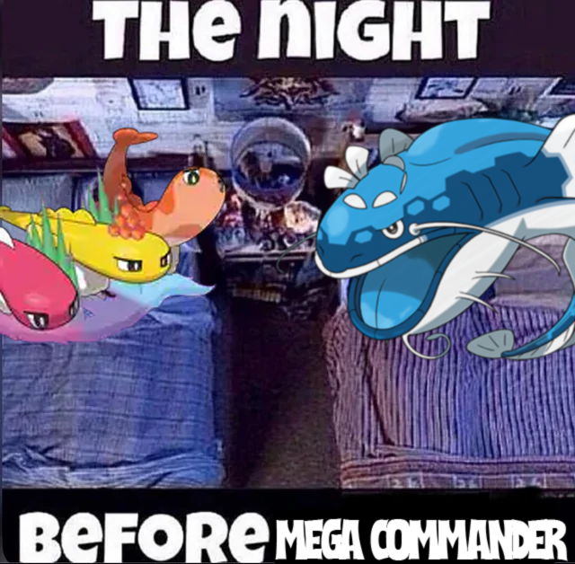 y0shy_vgc's tweet photo. Oups... 🫢 https://t.co/W1rpHlbazt