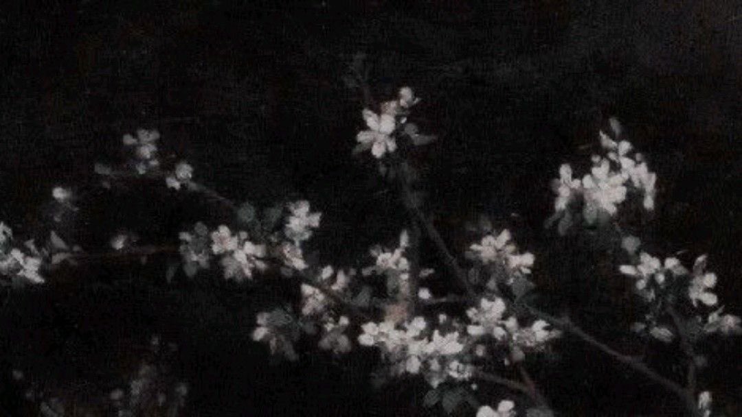 nelakaru's tweet photo. 🪽⠀ ⠀
⠀ ⠀ ໒꒱ 18 𝄞 nela
⠀ she / her 𓈒 entj 𓈒 yoshikaru!!
#hstwt #tshdtwt #genshintwt
#moothunt #intropost #honkaitwt ! ! ! https://t.co/VQUqZq1kod