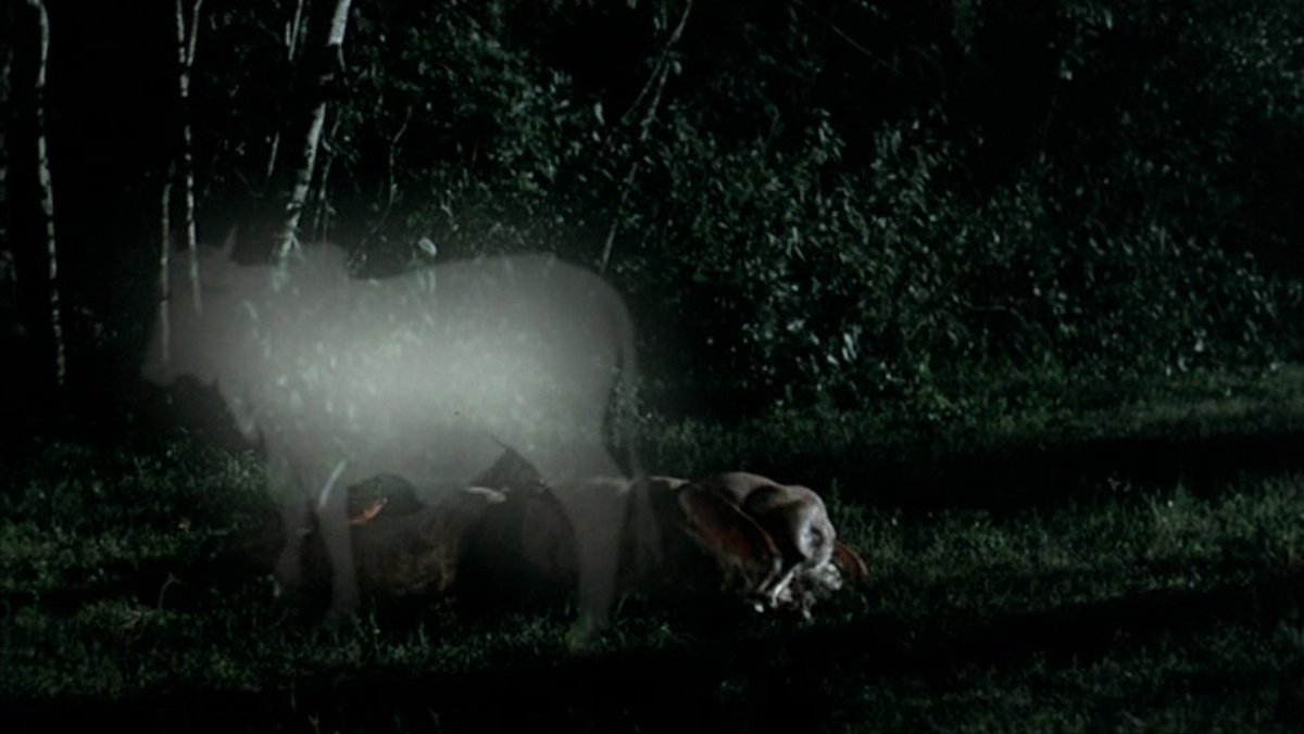 CindyTheSkuull's tweet photo. Tropical Malady (2004) dir. Apitchatpong Weerasethakul https://t.co/Ic938bxLMr