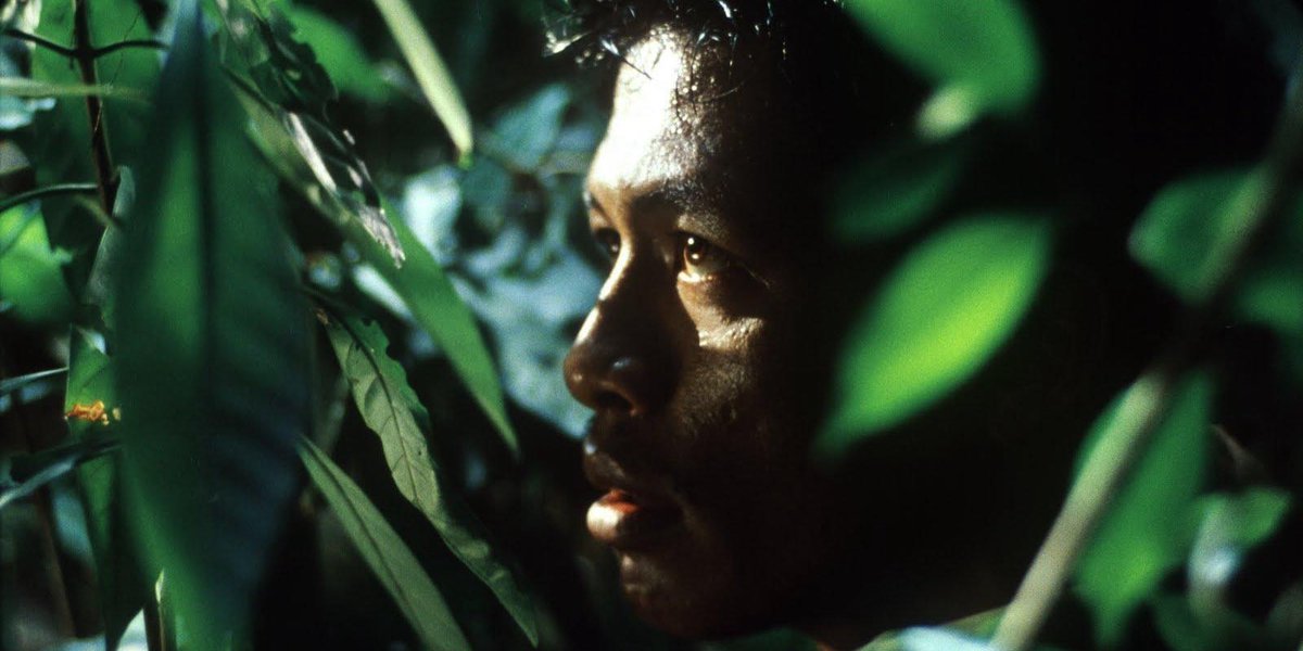 CindyTheSkuull's tweet photo. Tropical Malady (2004) dir. Apitchatpong Weerasethakul https://t.co/Ic938bxLMr