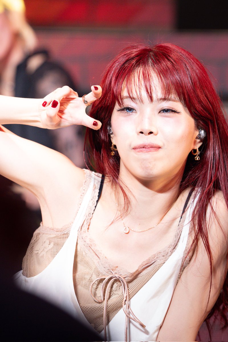 柴犬 (@dogs_singer) / Posts / X