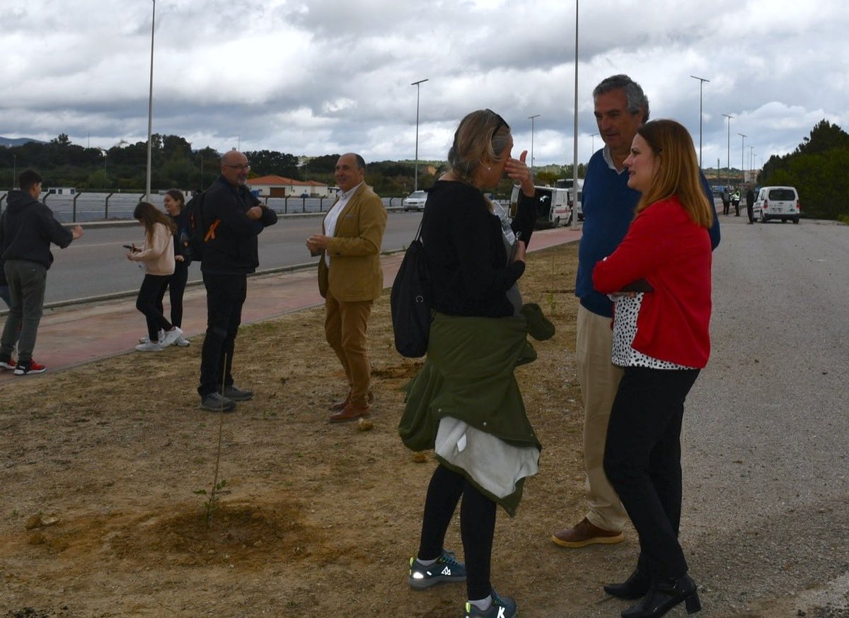 Verdemar_EA's tweet photo. 🌳🚜😡 ¡Lamentable!

Más de 40 árboles autóctonos plantados por escolares en Guadarranque han sido destruidos por una retroexcavadora pocos meses después de su plantación. 💔🌱

👩‍🎓👨‍🎓 No se puede enseñar a cuidar la naturaleza y después permitir que se arrasen los árboles https://t.co/Xl5NZFPwQL