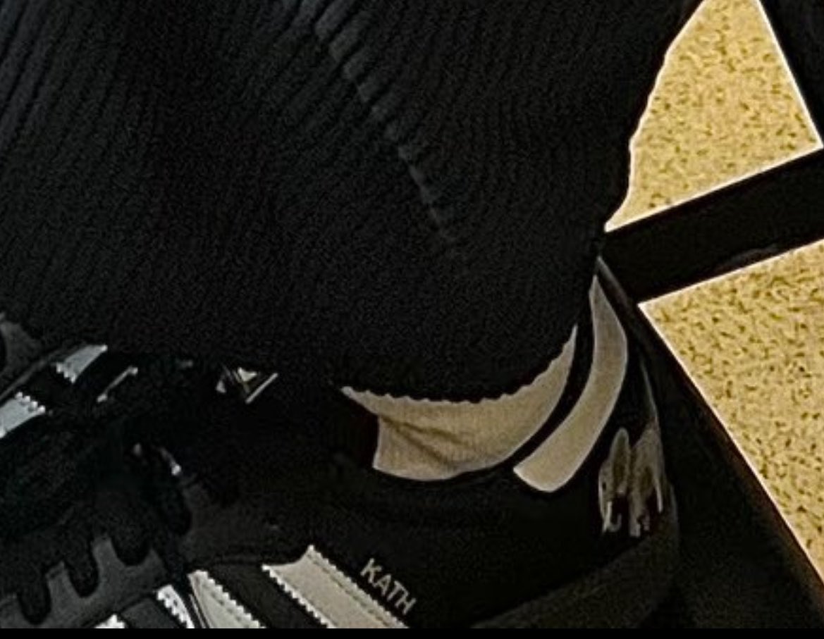 clawdynix's tweet photo. #TB Kathryn and the cutest little elephant touch on her Sambas 🥹🤍 🐘 https://t.co/mUhYuWR073