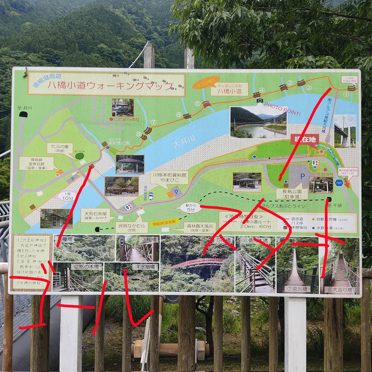 kaitsux's tweet photo. @nekojima_neko だって八橋小路はスタートとゴールがすごい離れてるから自転車置いていけんですよ！
ダム階段も狭くて辛かったー！
でも楽しかったー！ https://t.co/VnX4AVRWU5