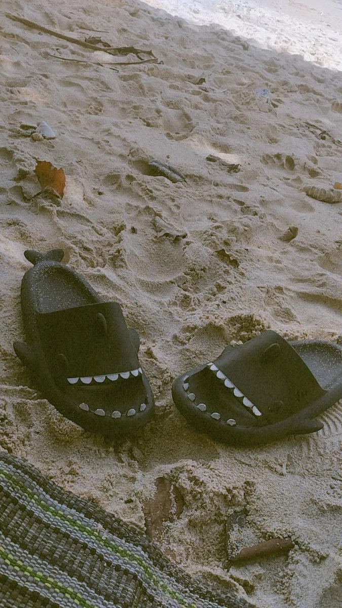 al_for1's tweet photo. Hey heyyy—!!!🐚🫧 https://t.co/6XdIsnchp3