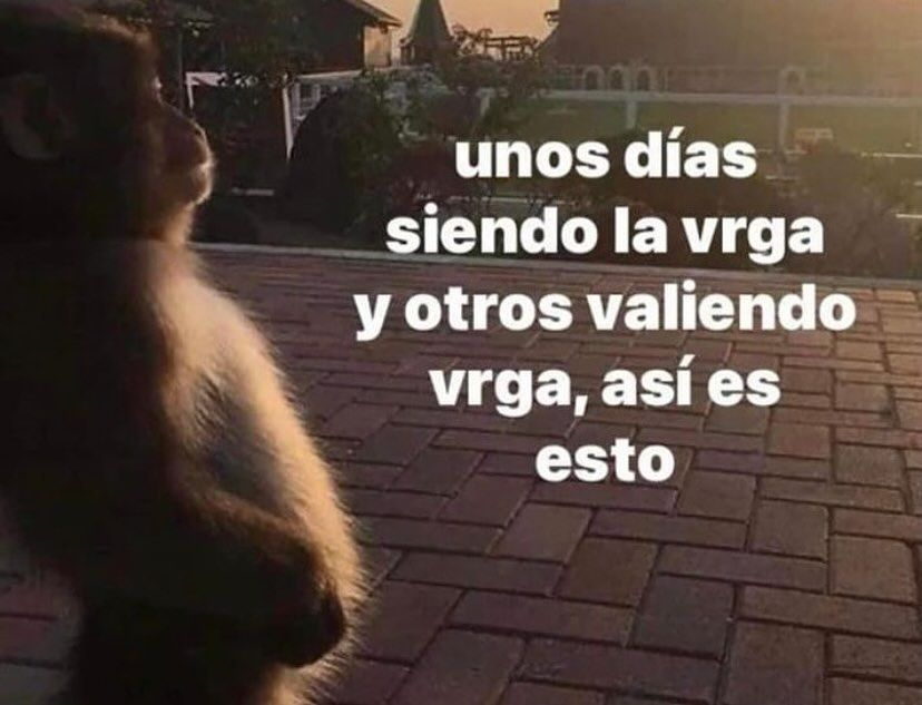 usuariofyp's tweet photo. https://t.co/NOz6BOOeie