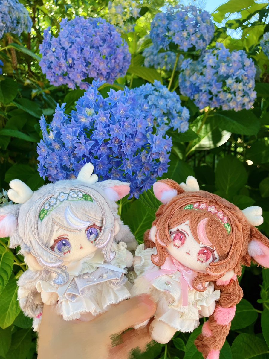 mizore_d's tweet photo. 今週中に花占いちゃんずの複製受付開始します〜なにとぞ！ https://t.co/TFsbNb2HEj
