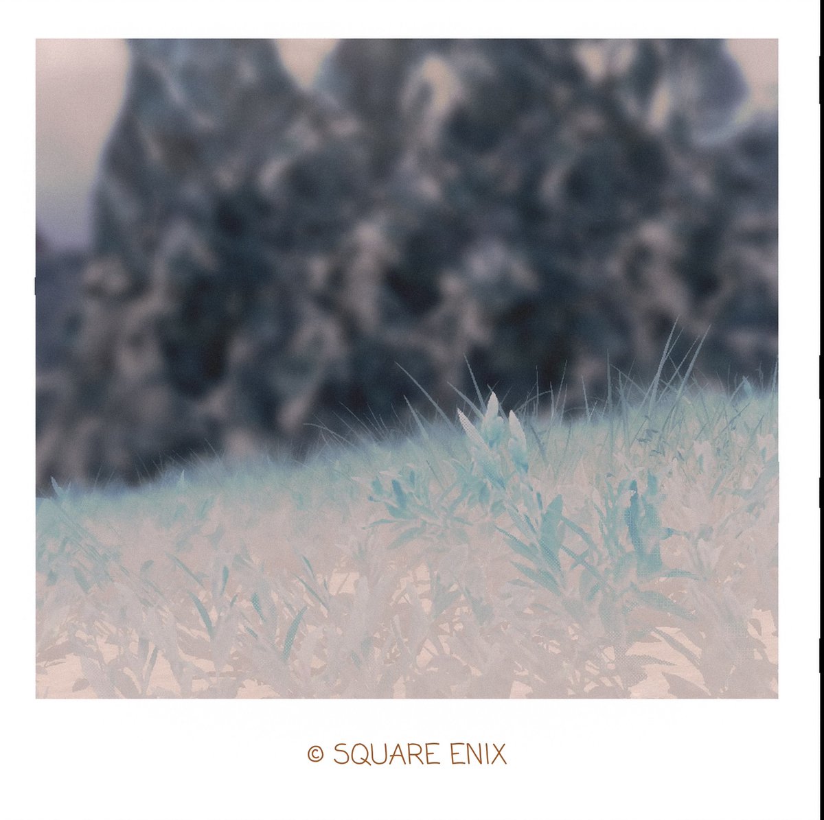 aruru_ss14's tweet photo. #FF14風景 https://t.co/98GrDGfZuT