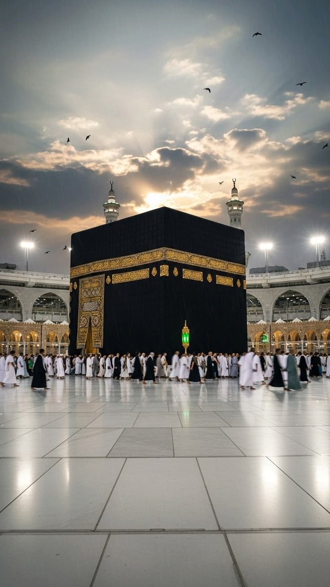 قلب شکسته 🇮🇷 tweet media