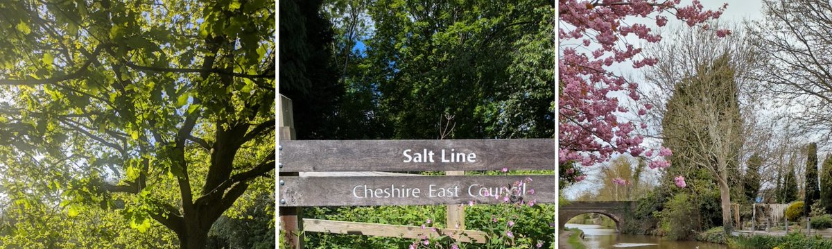 town_alsager's tweet photo. Walking in Alsager. verything you need to explore the paths, trails and green spaces in and around Alsager.

https://t.co/DxfrMKRuTE https://t.co/m3JmVgbYKl