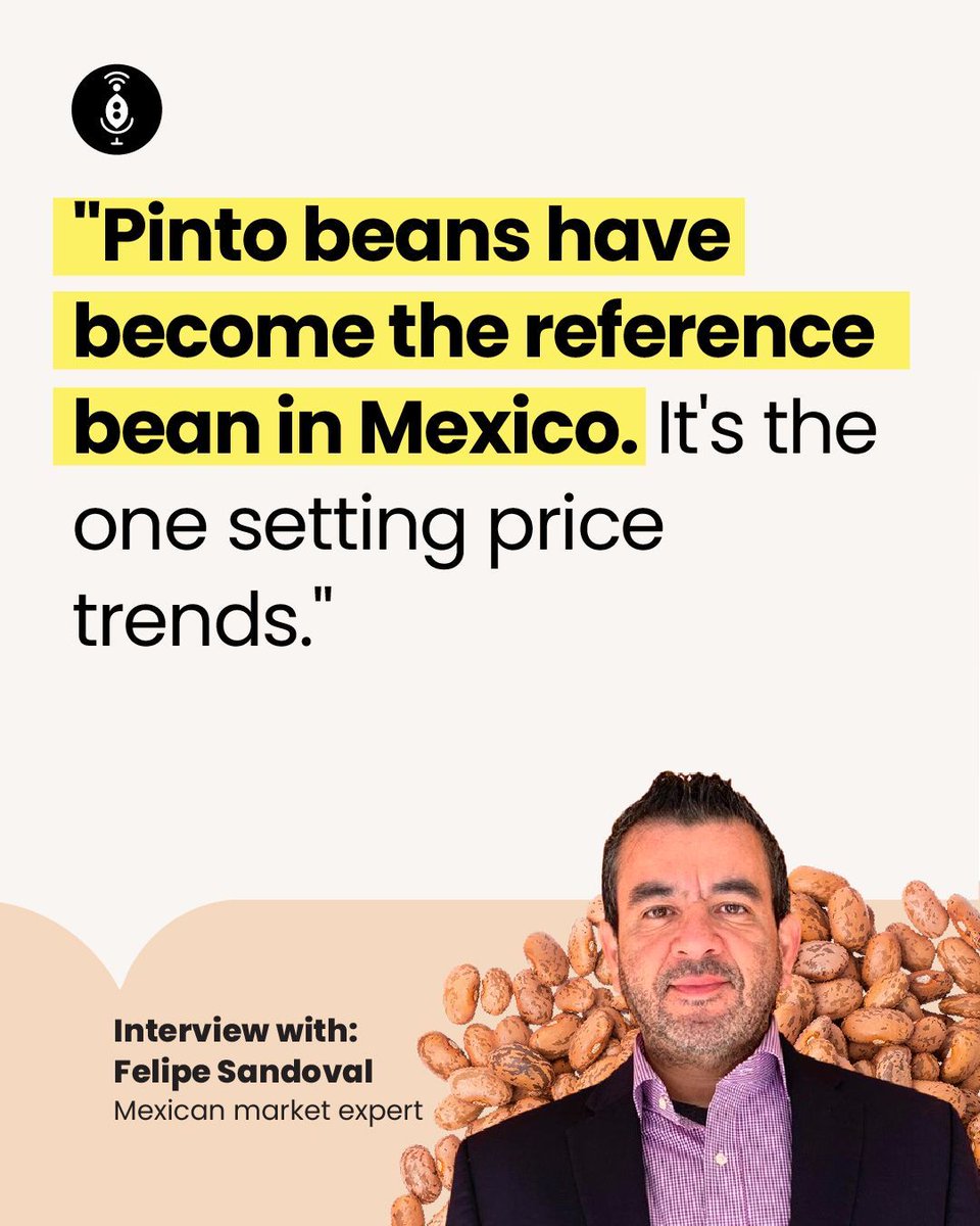 GlobalPulsesGPC's tweet photo. With oversupplied markets, government interventions, and a bruised supply chain, Mexico's bean sector is navigating a complicated commercial cycle, with projected reductions in bean acres.
https://t.co/CoQzxX3Hty
#GPC #Pulses #MexicanPulses #MexicanBeans #Beans #BeansPrices https://t.co/mQjIsaKcBj