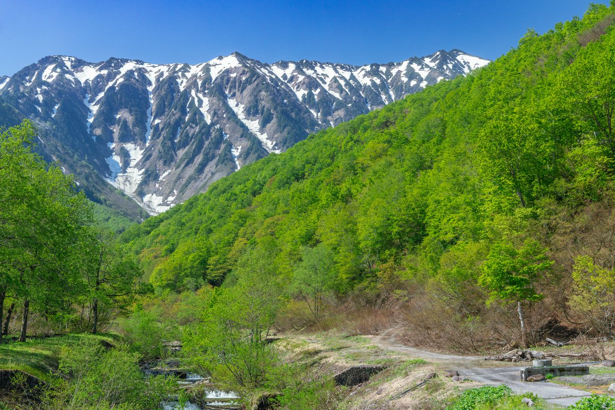 nag1_r's tweet photo. 初夏の山岳風景が爽快すぎる https://t.co/f9nlpfBmGR