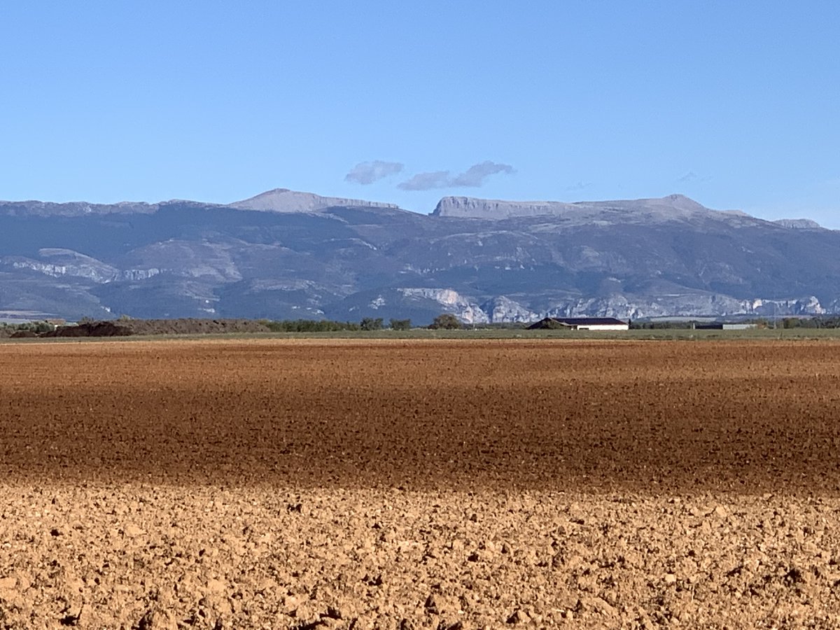 frereClaude's tweet photo. @ana47778 Lieu de l'atterrissage (valensole) 2025
f†C https://t.co/MVhWS2qptA
