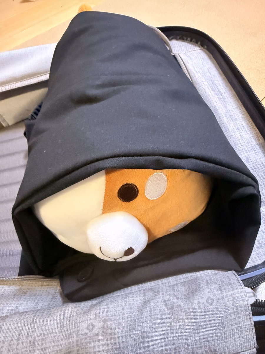 Matsuda_satoshi's tweet photo. そういえば衣装のズボンにシワをつけないためになんとか出来ないかと考え抜いて柴犬ぬいを巻いて入れて来たら完璧でしたので共有いたします👶🐶✨ https://t.co/HMeuxB216q